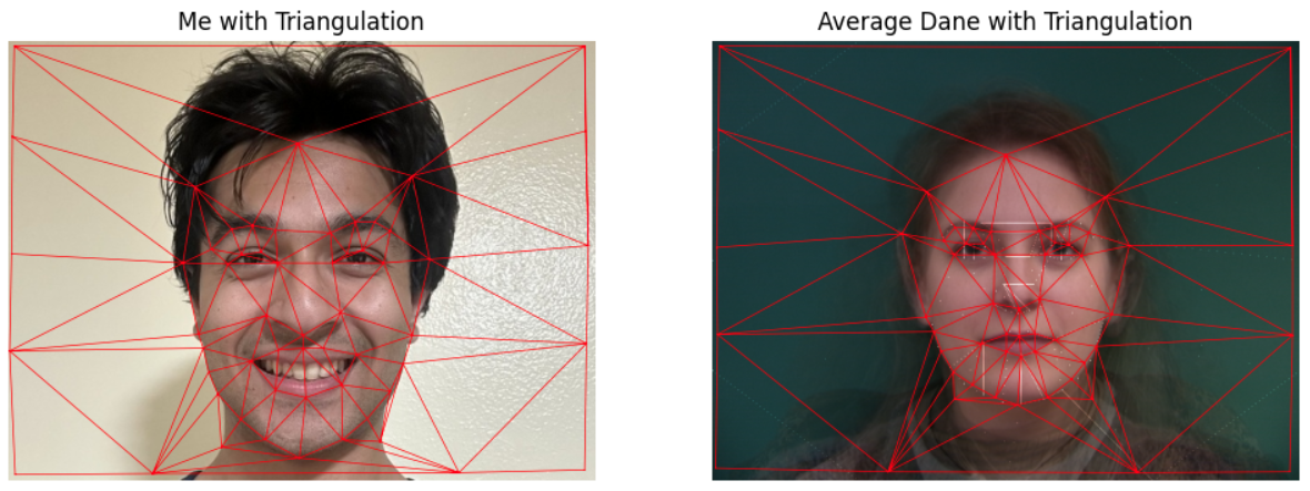 Triangulations of My Face and Female Dane