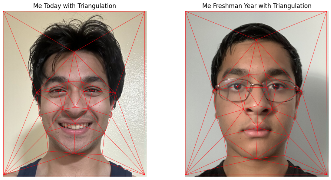 Facial Triangulation